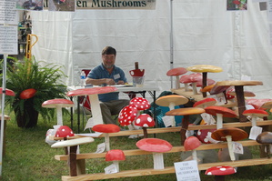 Apple Festival Parking Donation