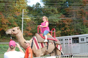 Ellijay Fairgrounds