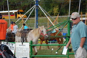 Apple Festival Parking Donation