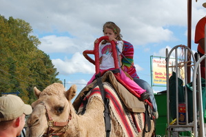 Apple Festival